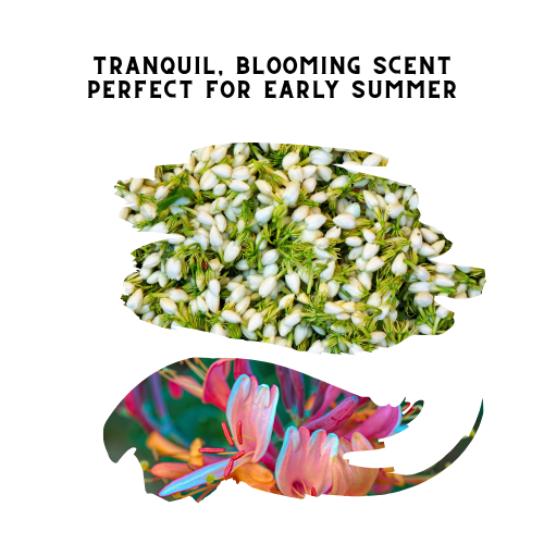Honeysuckle Jasmine Candle