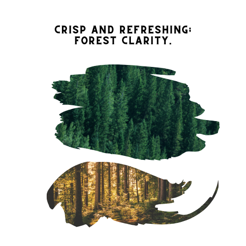 Evergreen Scented Oil