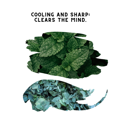 Peppermint & Eucalyptus Mist