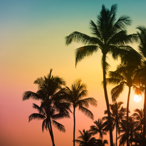 tropical