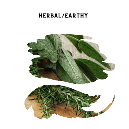 Rosemary Sage Scented Oil